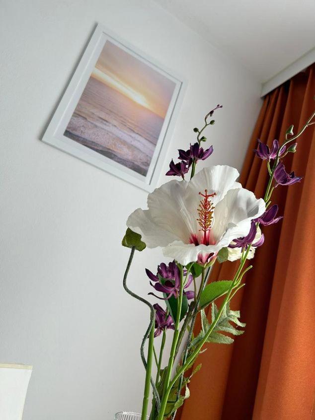 Apartment Harmony Graz Zewnętrze zdjęcie